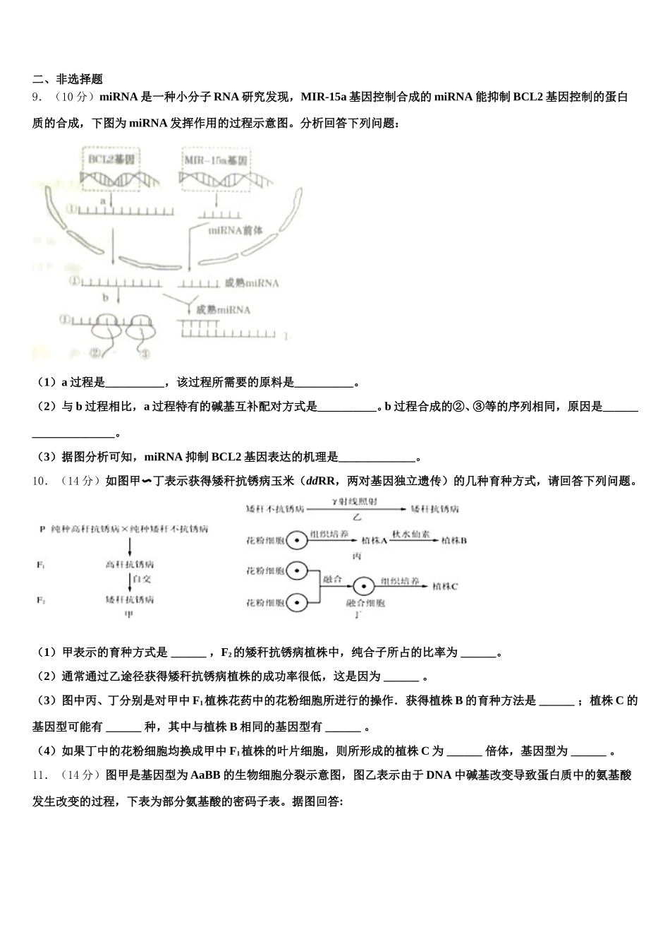 福建省泉州市南安侨光中学2024-2025学年生物高一下期末学业质量监测模拟试题含解析_第3页