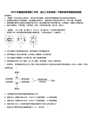 2025年福建省罗源第二中学、连江二中生物高一下期末教学质量检测试题含解析