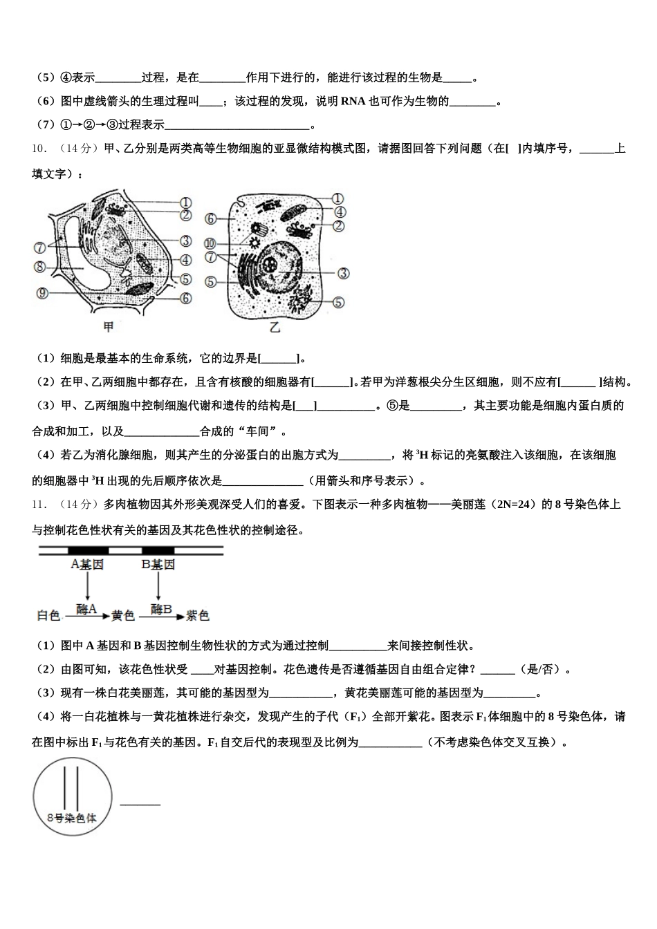 2024-2025学年福建省漳州市第八中学高一生物第二学期期末质量检测模拟试题含解析_第3页