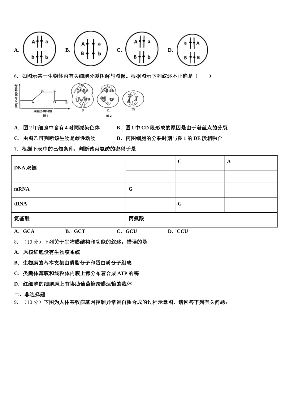 福建省泉港市泉港一中2025年高一下生物期末经典模拟试题含解析_第2页