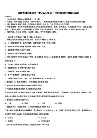 福建省泉港市泉港一中2025年高一下生物期末经典模拟试题含解析