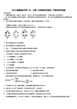 2025届福建省华安一中、长泰一中等四校生物高一下期末联考试题含解析