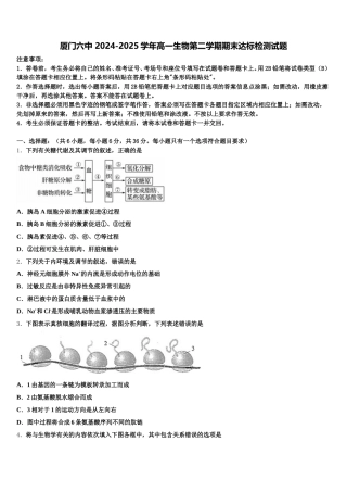 厦门六中 2024-2025学年高一生物第二学期期末达标检测试题含解析