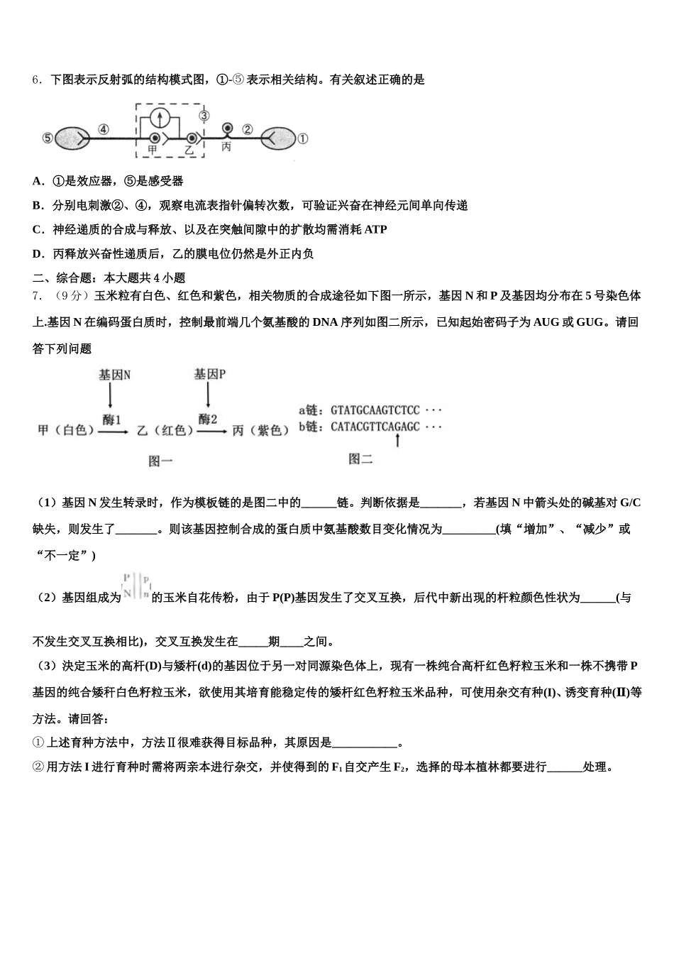 2025届泉州市重点中学生物高一第二学期期末学业质量监测试题含解析_第2页