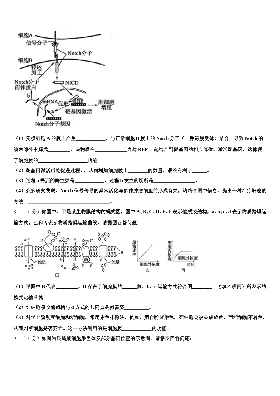 2025届福清市福清华侨中学生物高一下期末学业质量监测试题含解析_第3页
