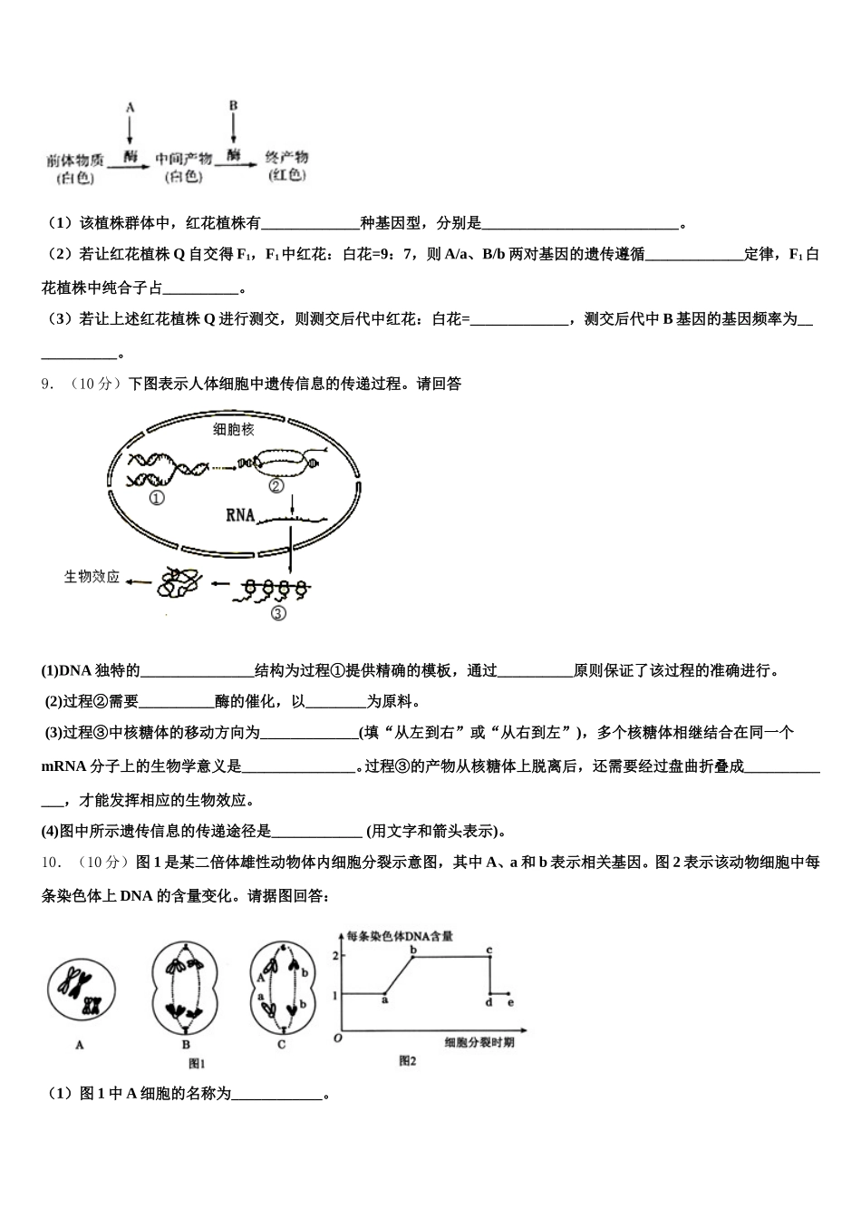 2025届福建省龙岩市连城一中高一下生物期末教学质量检测试题含解析_第3页
