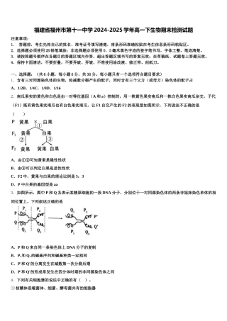 福建省福州市第十一中学2024-2025学年高一下生物期末检测试题含解析