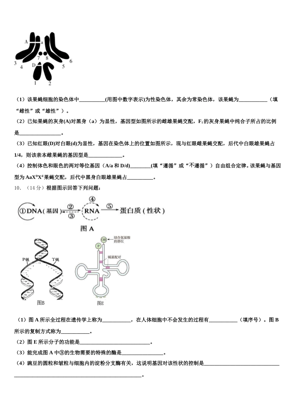 2025届福建省宁德市普通高中毕业班生物高一下期末考试试题含解析_第3页