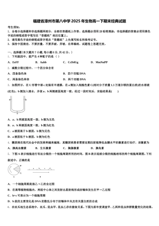 福建省漳州市第八中学2025年生物高一下期末经典试题含解析