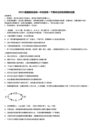 2025届福建省连城一中生物高一下期末达标检测模拟试题含解析