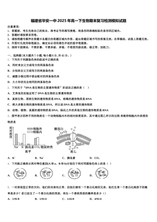 福建省华安一中2025年高一下生物期末复习检测模拟试题含解析