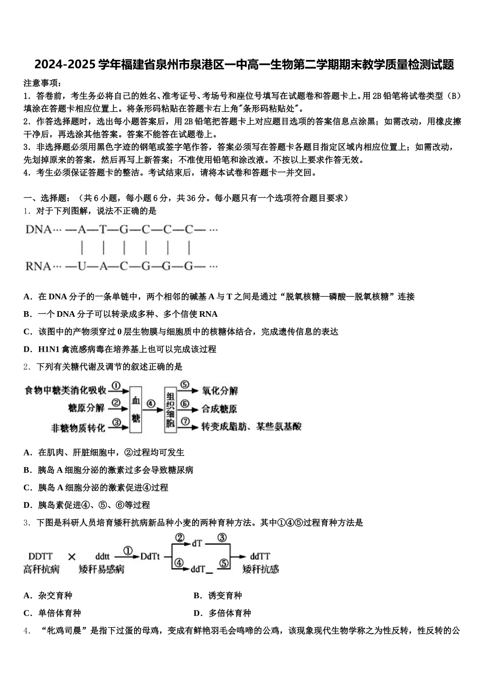 2024-2025学年福建省泉州市泉港区一中高一生物第二学期期末教学质量检测试题含解析_第1页