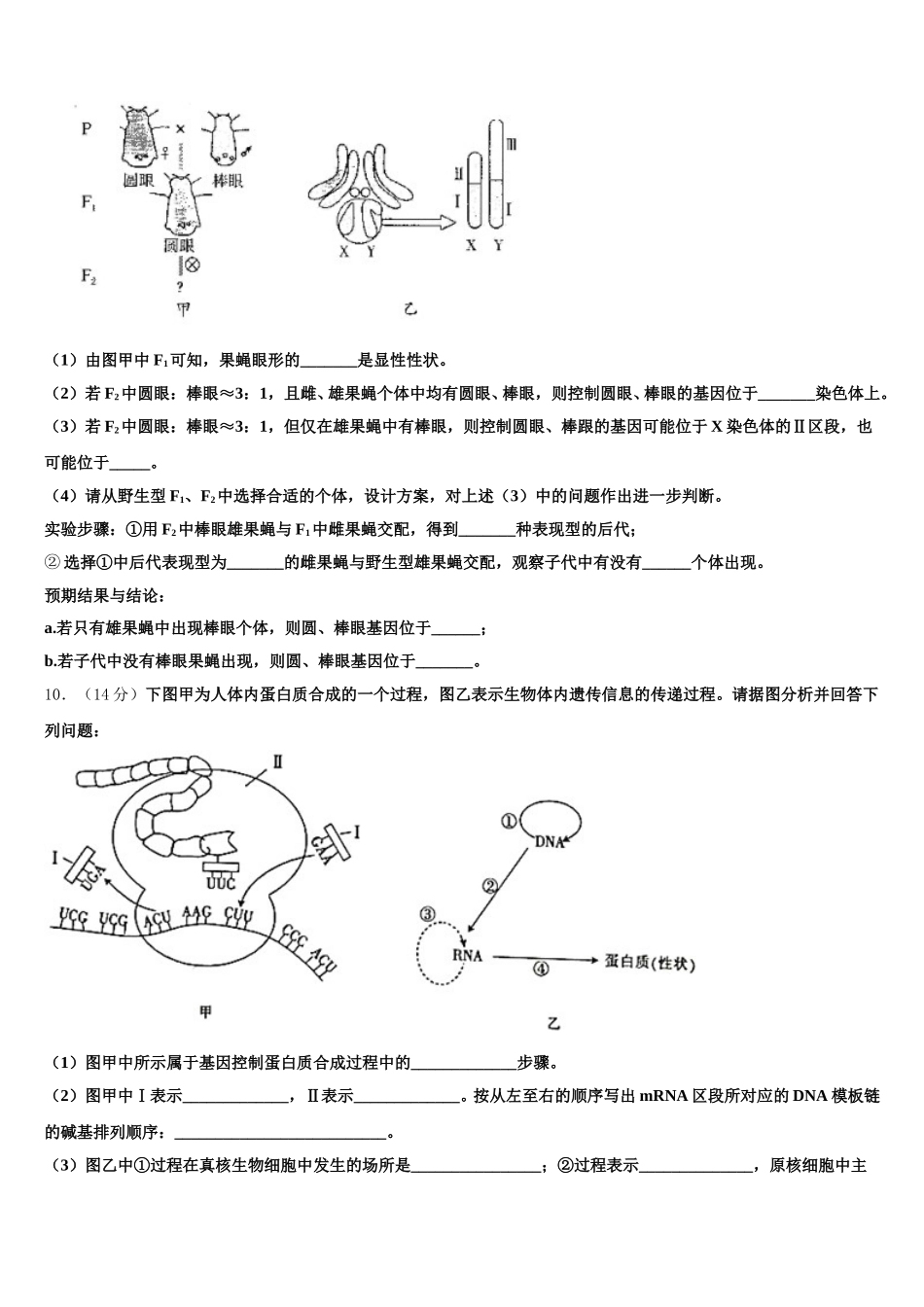 2025届福建省福州市长乐高级中学高一下生物期末考试模拟试题含解析_第3页