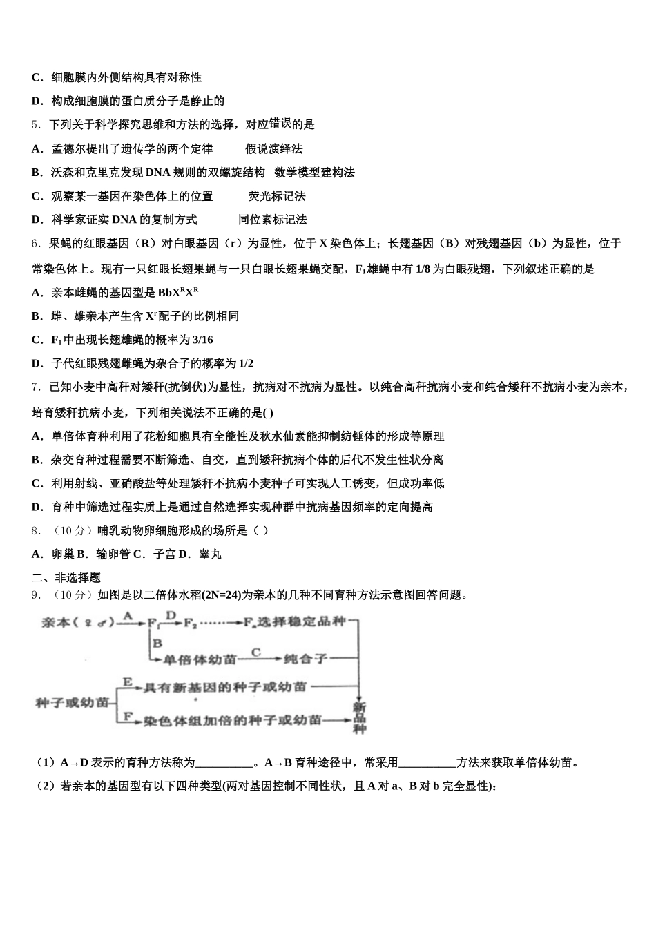 2025年福建省厦门二中生物高一下期末统考模拟试题含解析_第2页