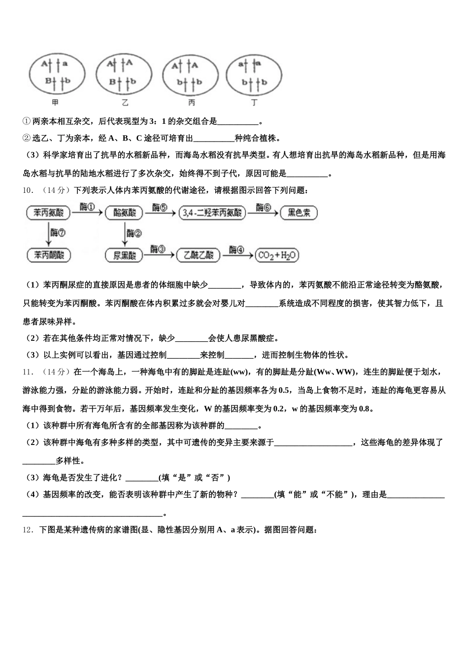 2025年福建省厦门二中生物高一下期末统考模拟试题含解析_第3页