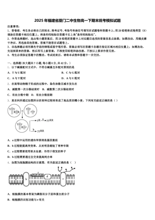 2025年福建省厦门二中生物高一下期末统考模拟试题含解析