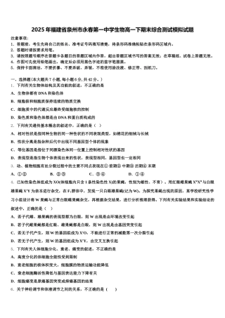 2025年福建省泉州市永春第一中学生物高一下期末综合测试模拟试题含解析
