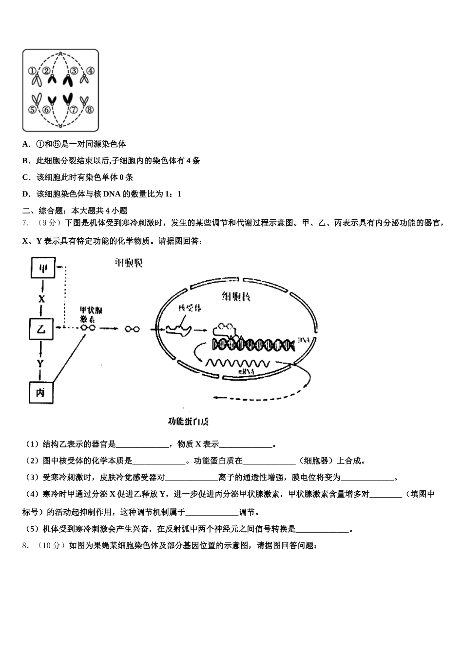福建省厦门大学附属实验中学2025年高一生物第二学期期末综合测试试题含解析_第2页