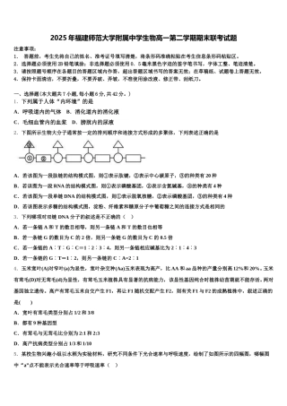 2025年福建师范大学附属中学生物高一第二学期期末联考试题含解析