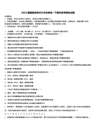 2025届福建省泉州三中生物高一下期末统考模拟试题含解析