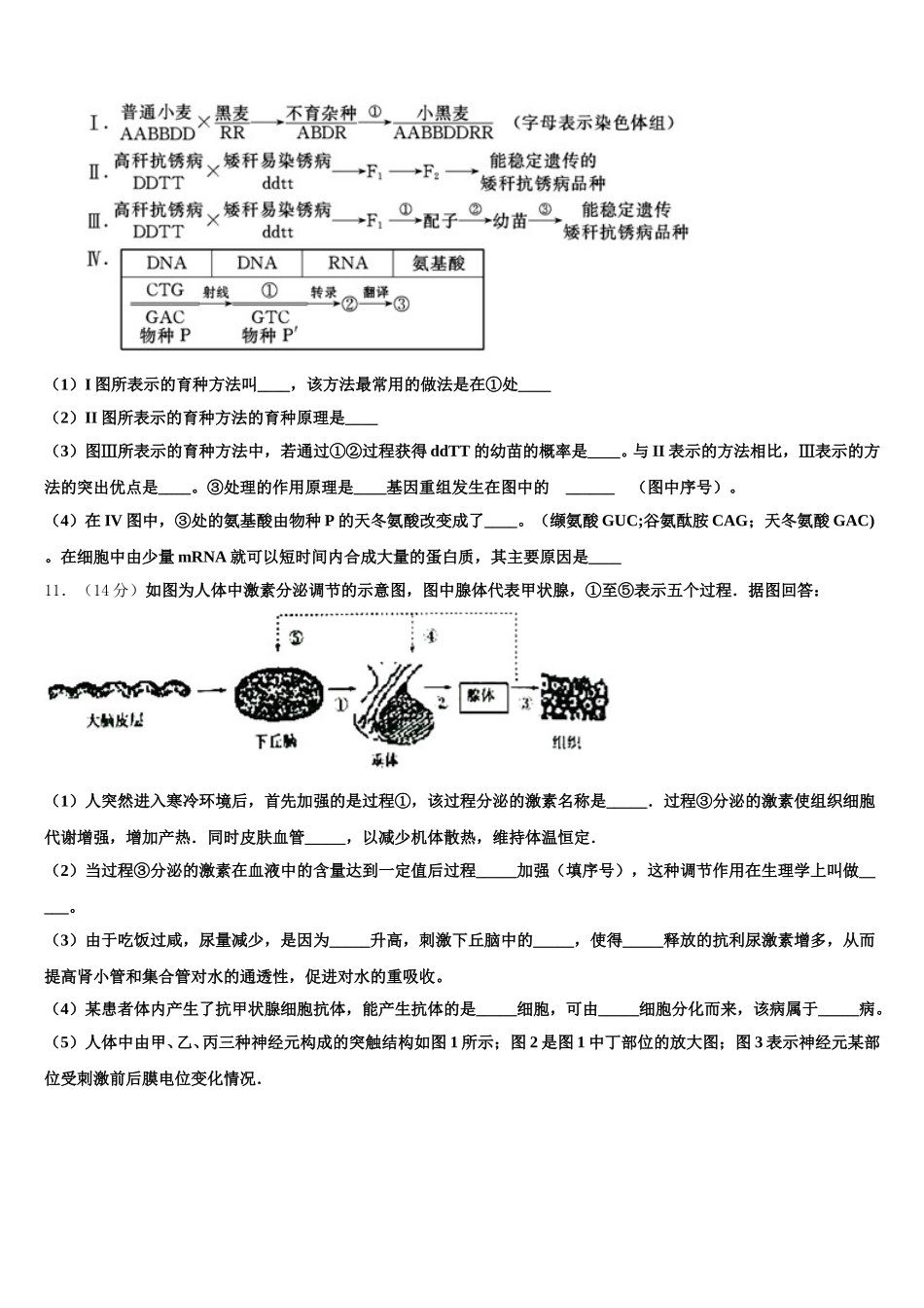 福建省闽侯第六中学2024-2025学年生物高一下期末复习检测模拟试题含解析_第3页