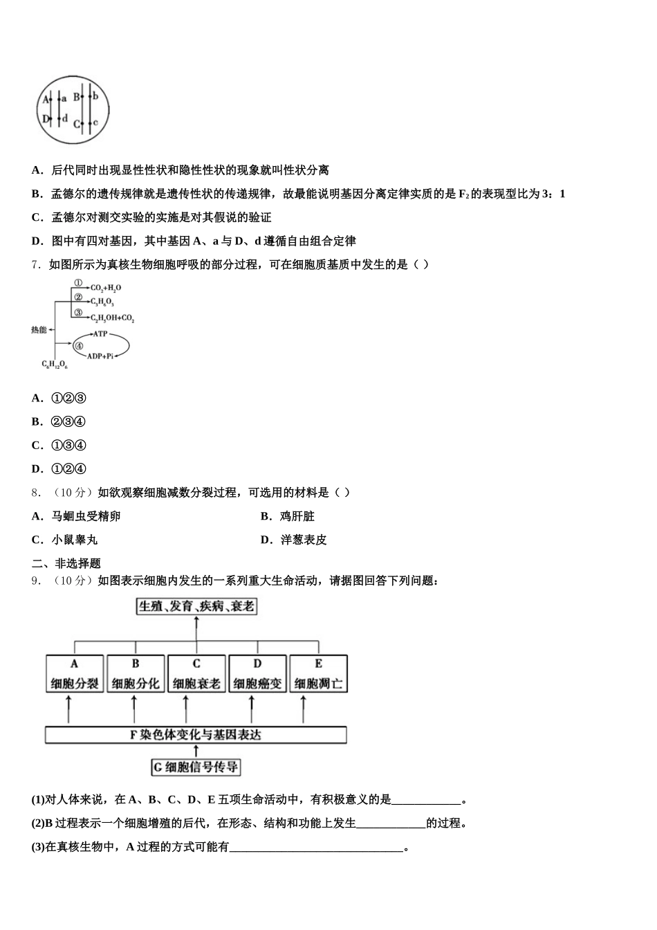 2024-2025学年福建省福州琅岐中学高一下生物期末学业质量监测试题含解析_第2页