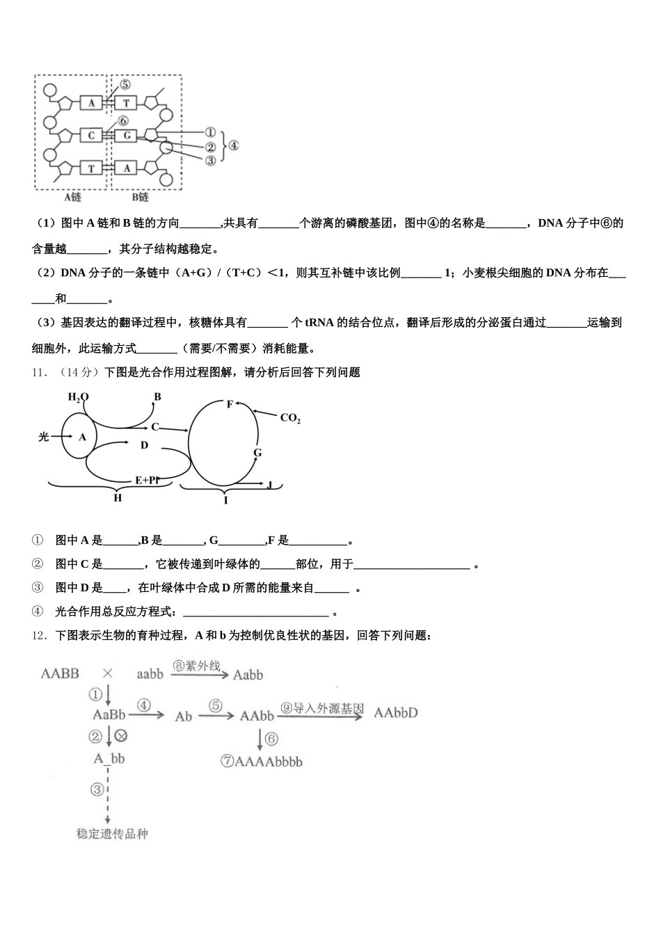 2025年福建龙岩市高一生物第二学期期末达标测试试题含解析_第3页