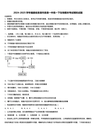 2024-2025学年福建省泉港市泉港一中高一下生物期末考试模拟试题含解析