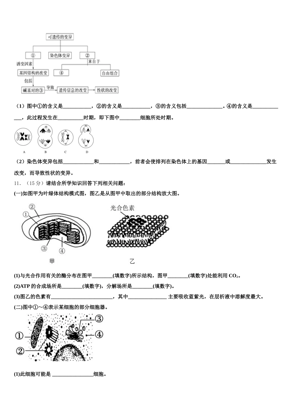 福建华安县第一中学2024-2025学年高一下生物期末调研模拟试题含解析_第3页