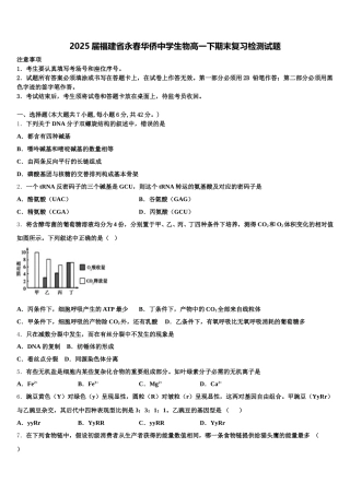 2025届福建省永春华侨中学生物高一下期末复习检测试题含解析
