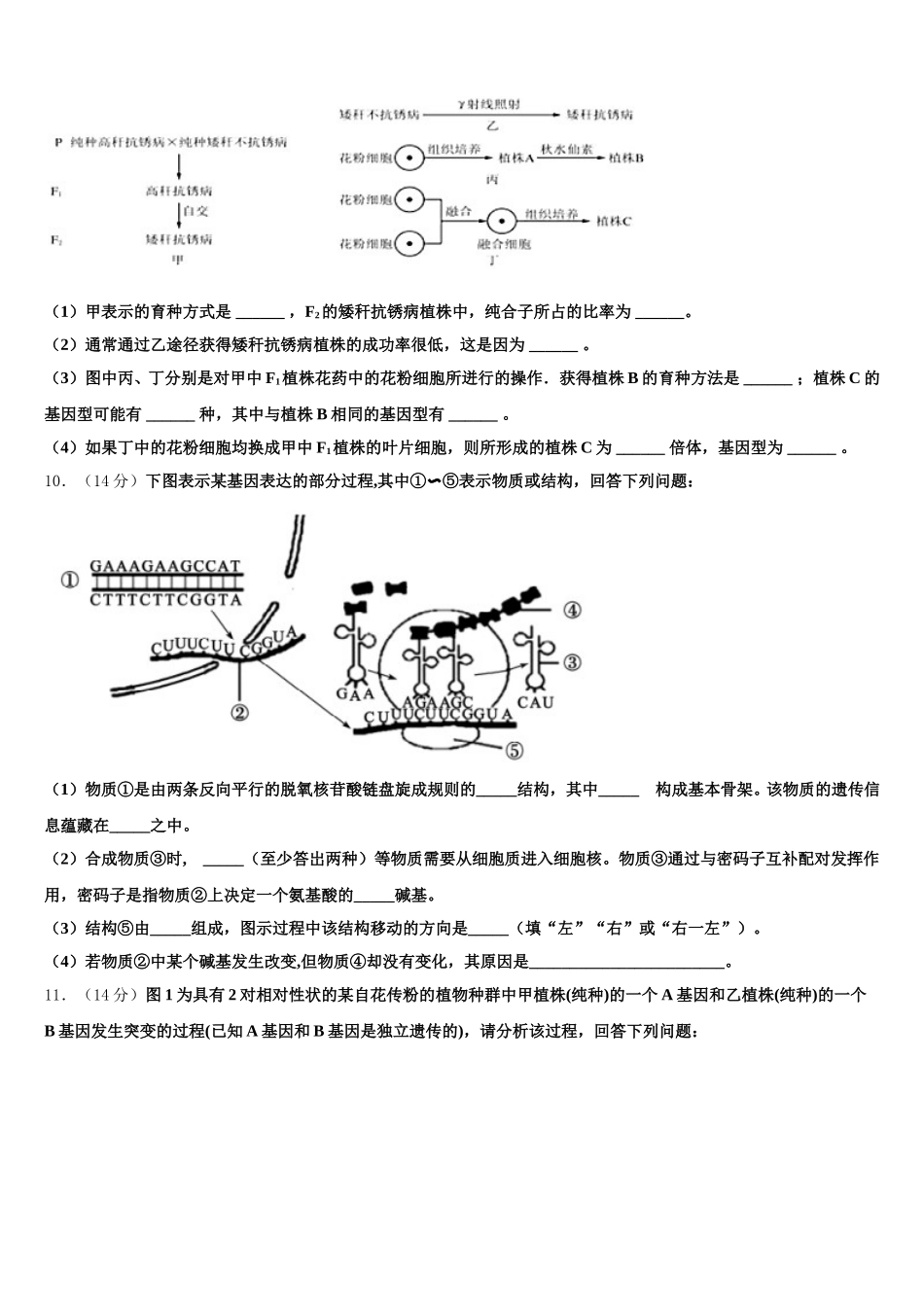 2025届福建省泉州市泉港区泉州市泉港区第一中学高一生物第二学期期末学业水平测试试题含解析_第3页