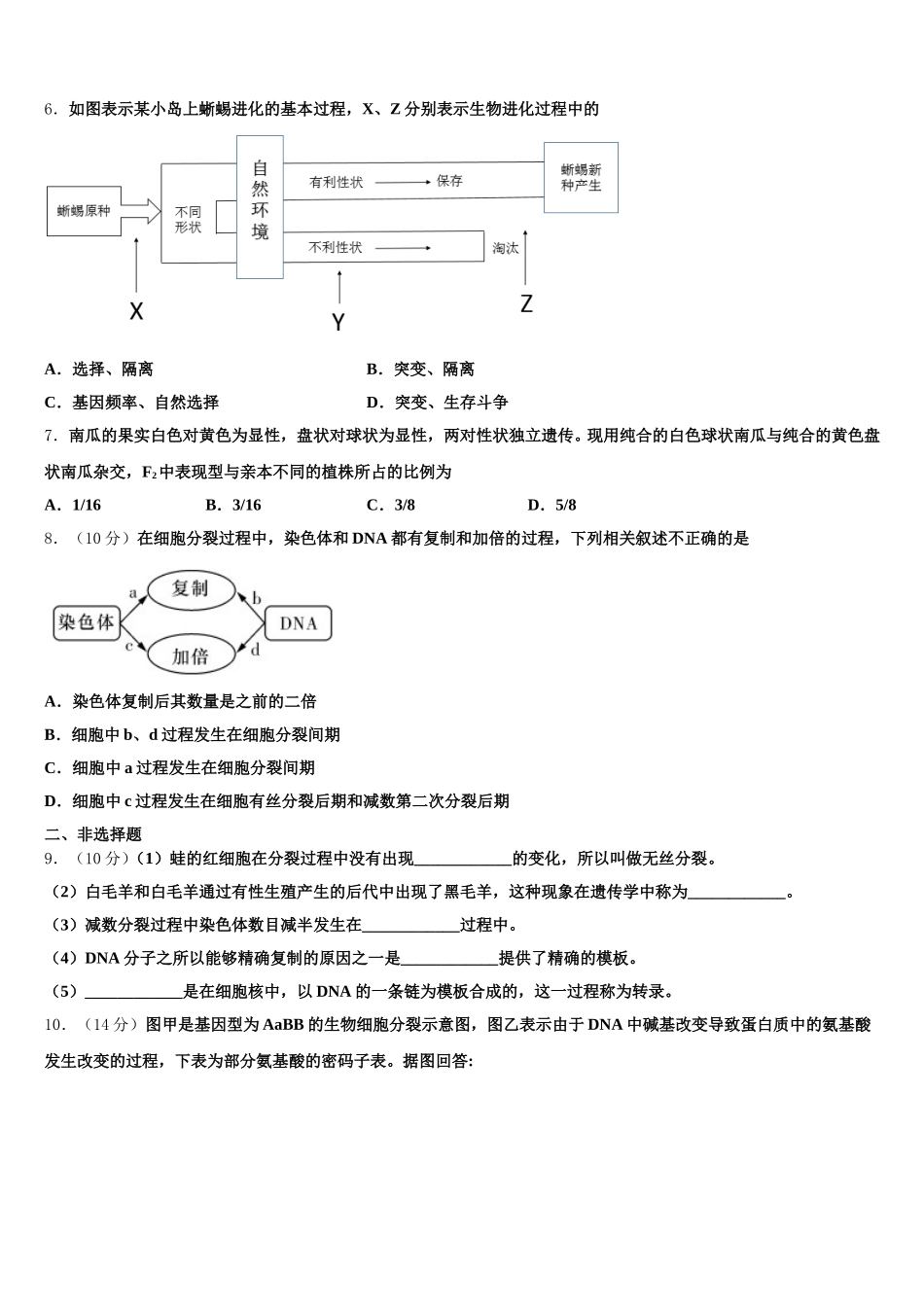 2025届福建省东山县第二中学高一生物第二学期期末教学质量检测试题含解析_第2页
