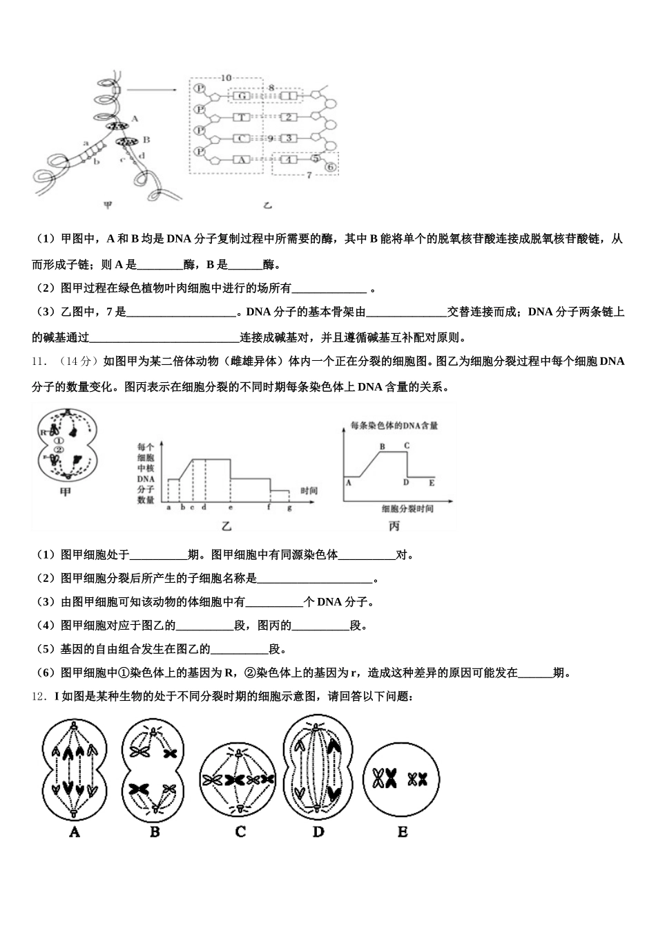 2024-2025学年福建省福州市高一生物第二学期期末监测试题含解析_第3页