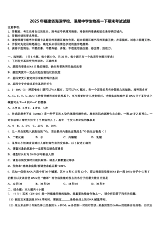 2025年福建省海滨学校、港尾中学生物高一下期末考试试题含解析