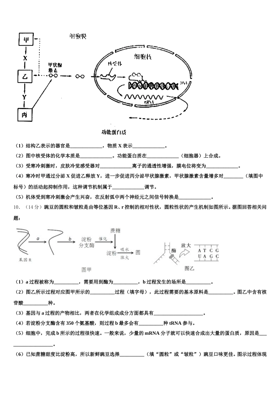 福建省莆田市莆田第八中学2025届生物高一下期末达标测试试题含解析_第3页