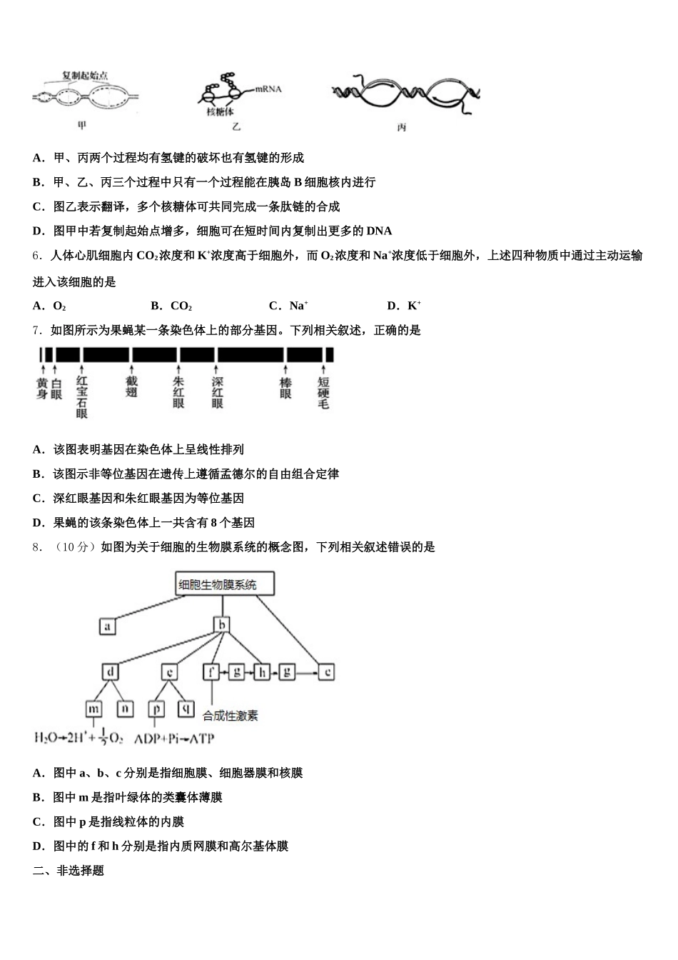2025届福建省莆田第七中学生物高一第二学期期末学业质量监测模拟试题含解析_第2页