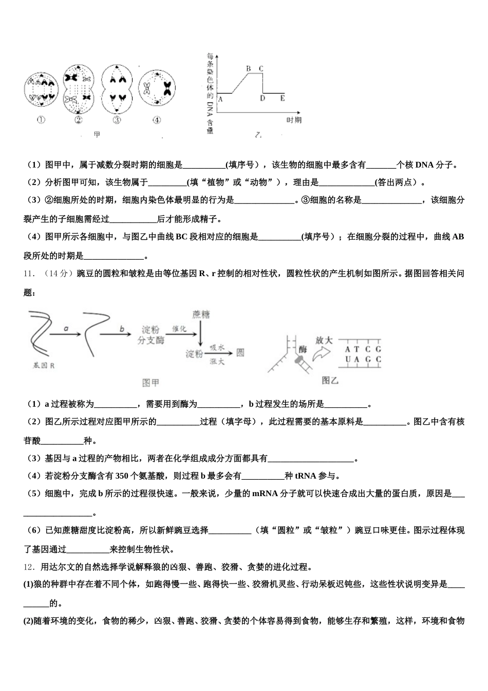 2025届福建省漳州一中生物高一第二学期期末联考模拟试题含解析_第3页