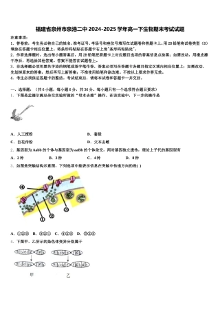 福建省泉州市泉港二中2024-2025学年高一下生物期末考试试题含解析