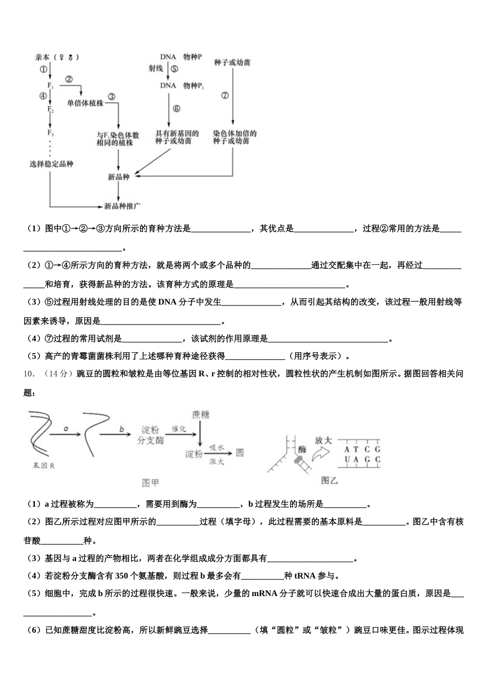 2025届福建省厦门二中高一生物第二学期期末考试模拟试题含解析_第3页