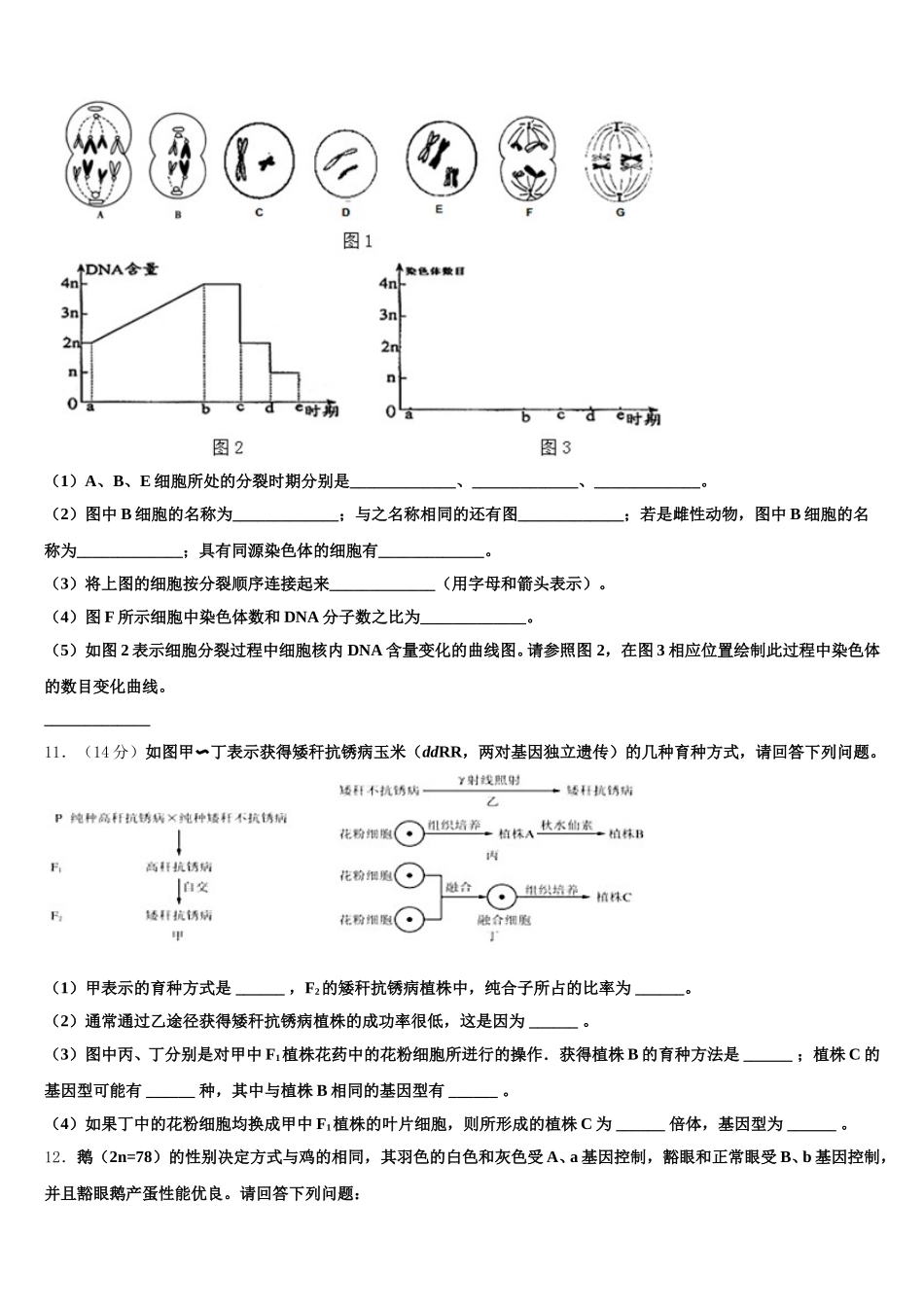 2025年福建省南安一中高一生物第二学期期末监测模拟试题含解析_第3页