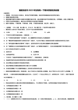 福建龙岩市2025年生物高一下期末质量检测试题含解析