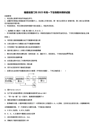 福建省厦门市2025年高一下生物期末调研试题含解析