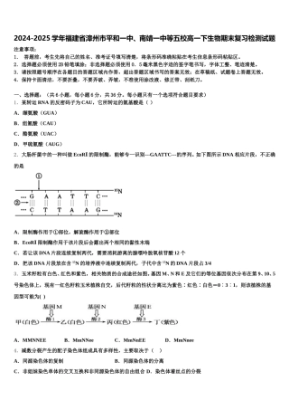 2024-2025学年福建省漳州市平和一中、南靖一中等五校高一下生物期末复习检测试题含解析