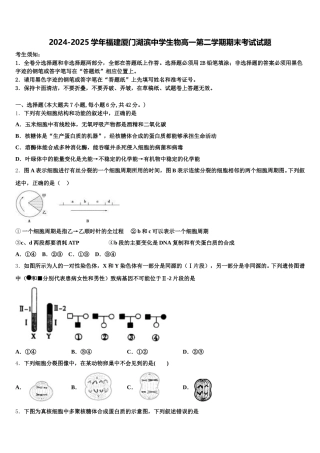 2024-2025学年福建厦门湖滨中学生物高一第二学期期末考试试题含解析