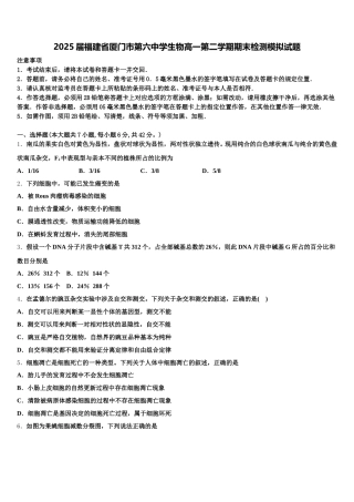 2025届福建省厦门市第六中学生物高一第二学期期末检测模拟试题含解析
