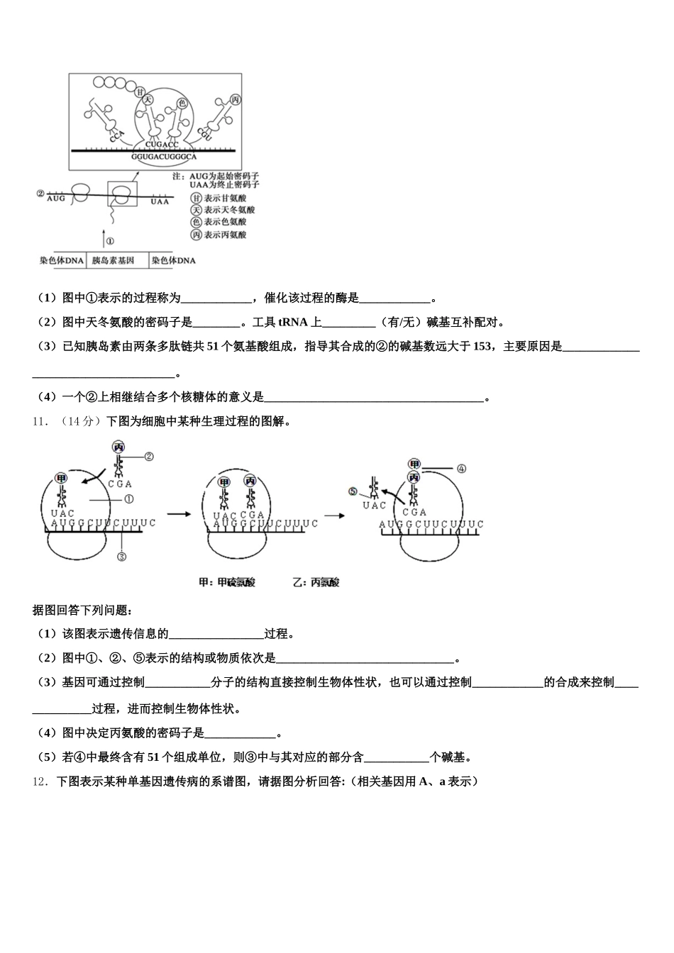2024-2025学年福建省莆田市仙游第一中学高一生物第二学期期末联考试题含解析_第3页