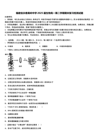 福建省永春美岭中学2025届生物高一第二学期期末复习检测试题含解析