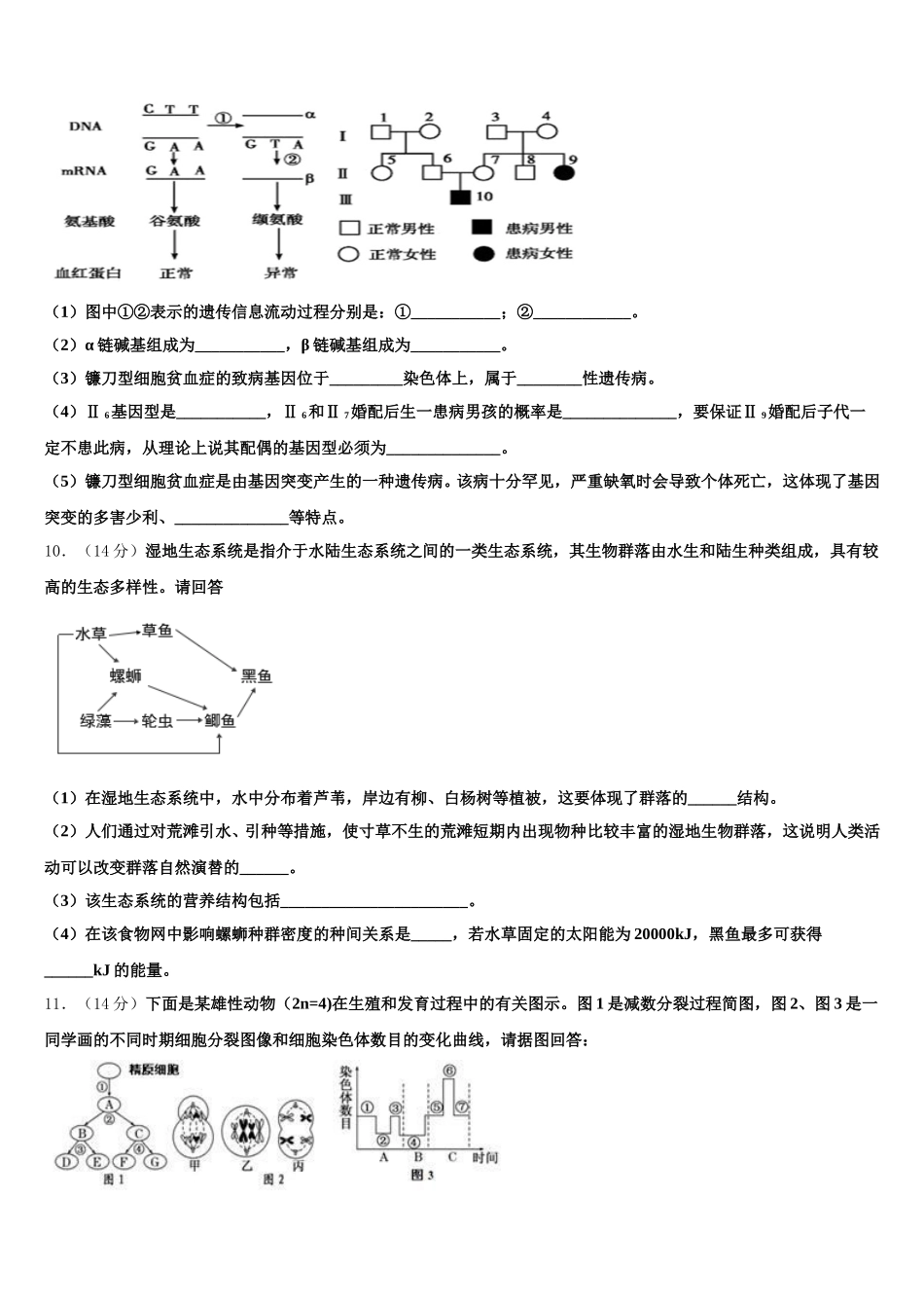 2025届福建省泉州市安溪一中高一生物第二学期期末调研试题含解析_第3页