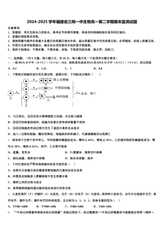 2024-2025学年福建省三明一中生物高一第二学期期末监测试题含解析