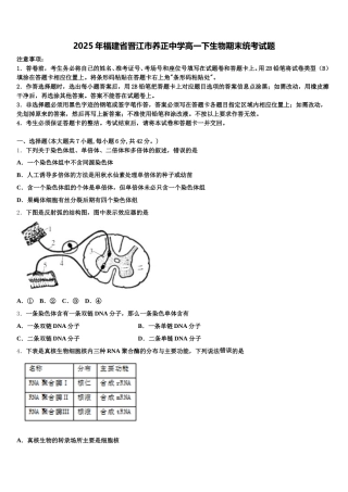 2025年福建省晋江市养正中学高一下生物期末统考试题含解析